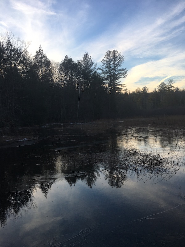 Pond at the trail head in winter